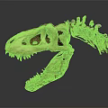 Medical Device Dinosaur Skull Model For Educational Research And Training Use 3d model