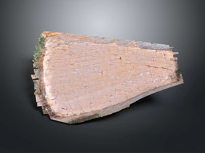 Rustic Wooden Cutting Board Featuring Cracked Texture Irregular Shape And Natural Green Edges 3d model