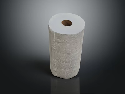White Textured Toilet Paper Roll For Household Everyday Use And Absorbent Softness 3d model