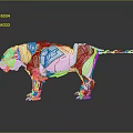Modern mechanical leopard machine leopard mechanical monster machine monster 3d model