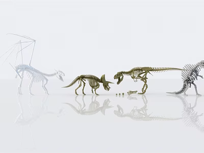 Medical Equipment Colorful Skeleton Models On White Background With Reflection 3d model