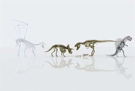 Modern Skeleton Dinosaur Skeleton 3d model