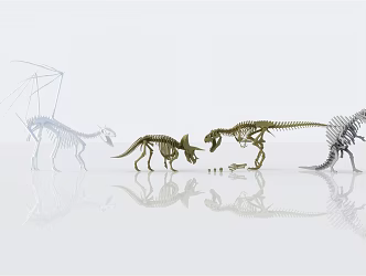 Modern Skeleton Dinosaur Skeleton 3d model