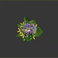 Colorful Plant Bouquet With Purple Pink Yellow Flowers And Green Leaves