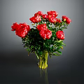 Fresh Red Peonies Bouquet In Clear Glass Vase Against Grey Background