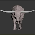 Pink Bull with Long White Horns Standing on Black Background with Reflection