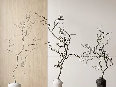 Decorative Branches in White and Black Vases on Wooden and Light Wall Background 3d model