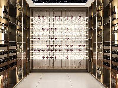 Modern Wine Cellar Interior Design With Rows Of Wine Racks And Arranged Bottles 3d model