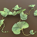 Lush Vining Plant With Heart Shaped Green Leaves And Vibrant Healthy Foliage