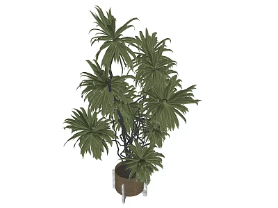 Lush Green Bonsai Potted Plant With Elegant Brown Pot And Vibrant Leaves 3d model