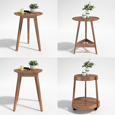 Stylish Wooden Round Side Table With Lower Shelf And Decorative Plants 3d model