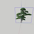 Artistically Shaped Arbor Featuring Layered Canopy Lush Green Foliage And Wooden Trunk