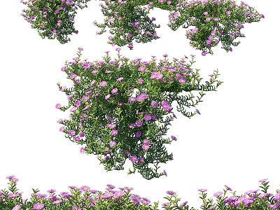 Vibrant Purple Flowering Plants With Lush Green Leaves And Clustered Blooms 3d model