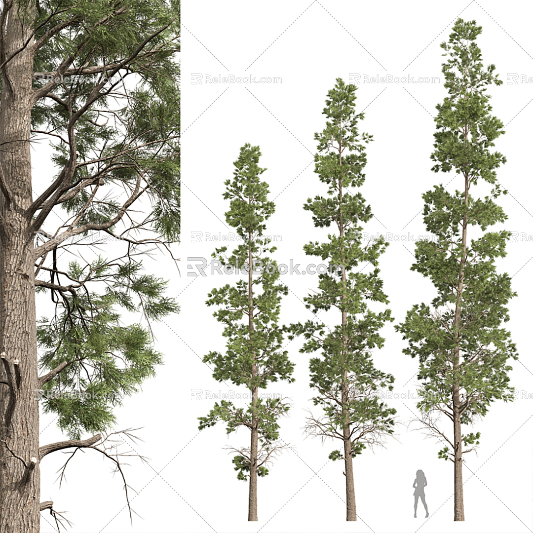 Modern Tree Trees Landscape Trees 3d model