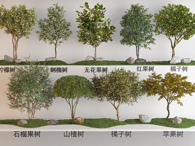 Diverse Arbor Tree Varieties Including Lemon Pepper Fig Hawthorn And Apple Trees 3d model