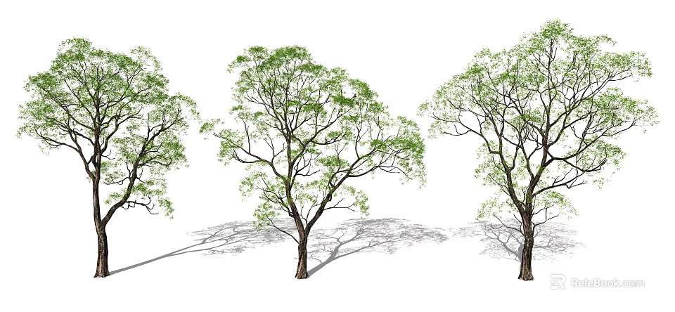 Three Arbor Trees With Green Leaves Brown Trunks And Ground Shadows 3d model