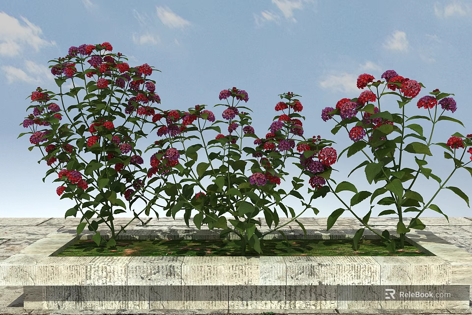 Vibrant Red And Purple Flowers With Green Leaves In Stone Planter Under Blue Sky 3d model 