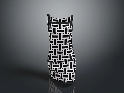 Modern Stylish Sleeveless Dress With Black And White Geometric Pattern 3d model