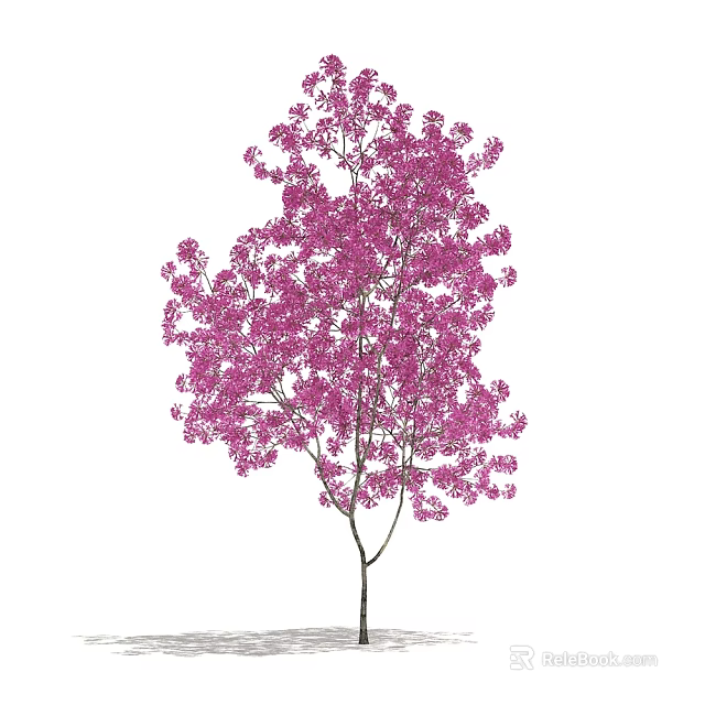 Lush Pink Flowering Arbor With Dense Blossoms On Slender Branches 3d model 