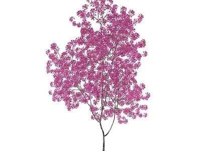 Lush Pink Flowering Arbor With Dense Blossoms On Slender Branches 3d model