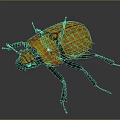 Yellow and Brown Beetle with Shiny Hard Shell and Black Legs on Dark Background
