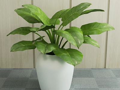 Green Leafy Potted Plant in White Ceramic Pot Against Wooden Wall Background 3d model