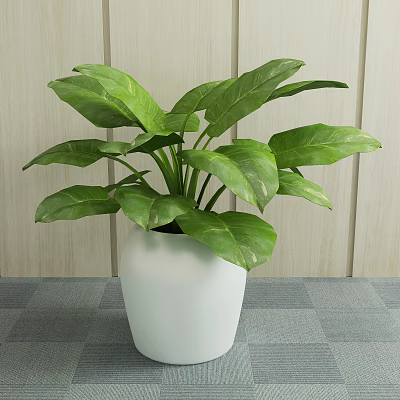 Green Leafy Potted Plant in White Ceramic Pot Against Wooden Wall Background 3d model