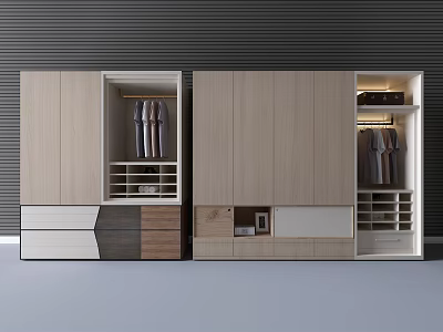 Modern Wardrobe Interior Design With Hanging Rails Drawers And Shelves Storage 3d model