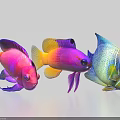 Vibrant Colorful Aquatic Animals Tropical Fish Featuring Diverse Bright Hues And Patterns