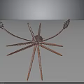 Brown Squid With Long Tentacles Detailed Model Isolated On Dark Background 3d model