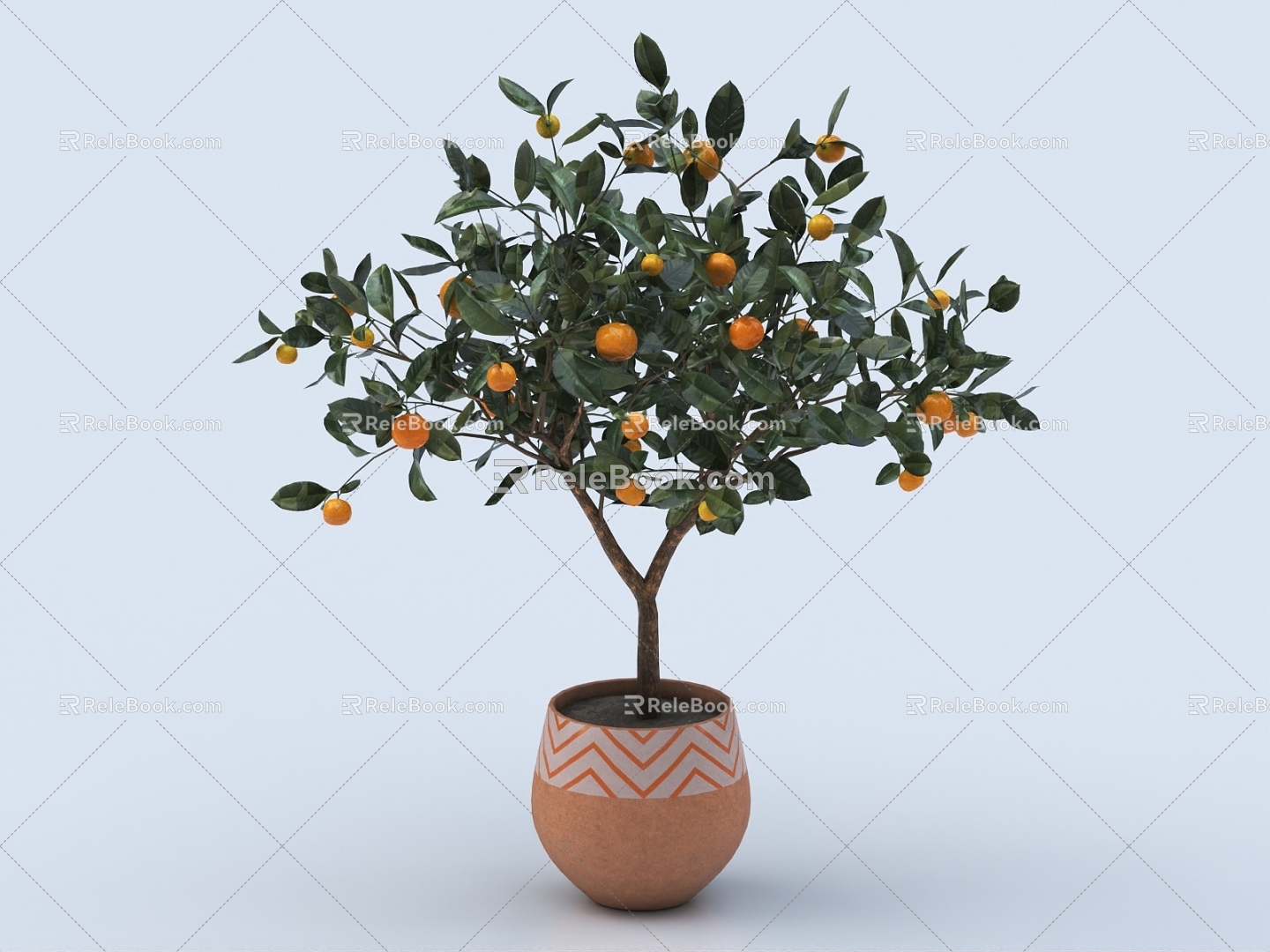 Orange Tree Citrus Book Orange Potted Vegetable Fruit Sugar Orange Ice Sugar Orange 3d model