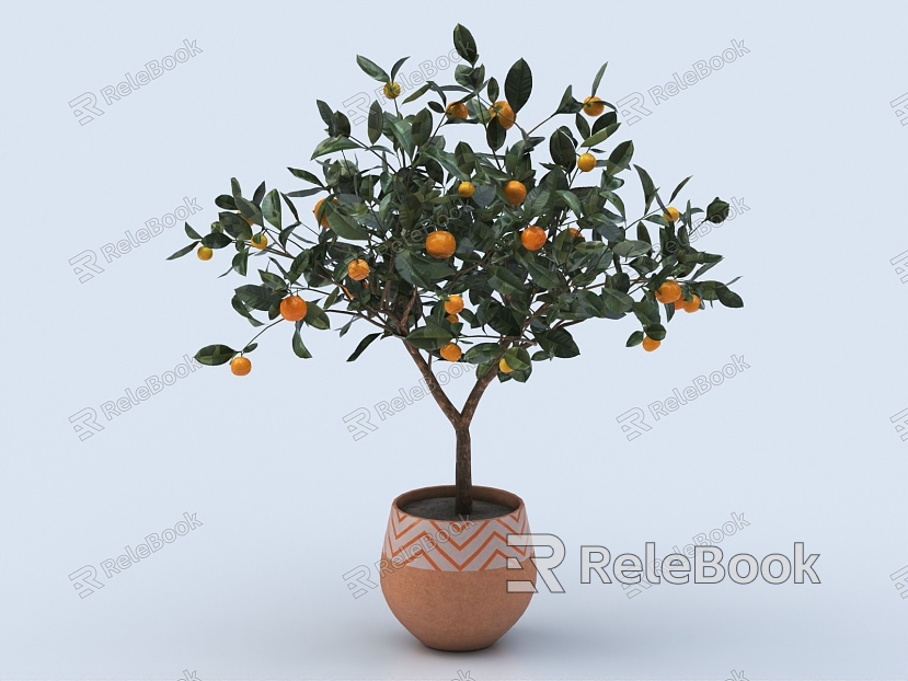 Orange Tree Citrus Book Orange Potted Vegetable Fruit Sugar Orange Ice Sugar Orange model