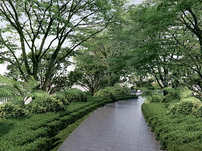 Residential Landscape Featuring Shaded Walkway Well-trimmed Green Shrubs Lush Trees and Gray Tile Pathway 3d model