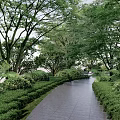 Residential Landscape Featuring Shaded Walkway Well-trimmed Green Shrubs Lush Trees and Gray Tile Pathway