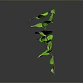 Green Mint Plant With Fresh Vibrant Leaves On Dark Reflective Background