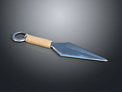 Tactical Dagger With Sharp Metal Blade Woven Rope Handle And Ring Guard 3d model