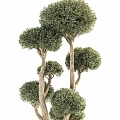 Modern Trees 3d model