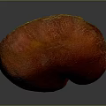 Red Textured Organ With Fine Hair And Natural Surface Details