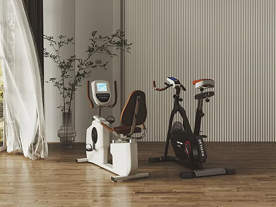 Home Fitness Equipment Spin Bike And Recumbent Bike With LCD Screen In Modern Interior 3d model