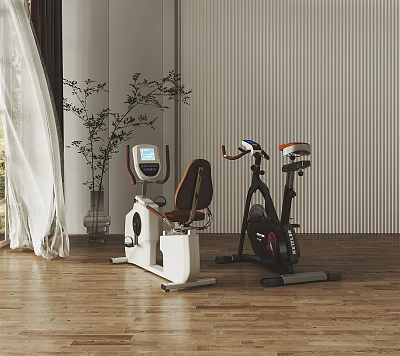 Home Fitness Equipment Spin Bike And Recumbent Bike With LCD Screen In Modern Interior 3d model