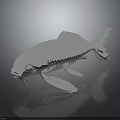 Silver Metallic Fish with Scaly Texture on Smooth Black Surface and Clear Reflection 3d model