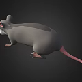 Cute 3D Cartoon Mouse With Gray Body White Belly And Pink Features On Black Background