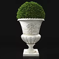 Ornate White Decorative Planters With Green Topiary And Palm Plant