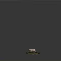 White Cow Standing On Square Platform With Grass Water Puddle And Rock