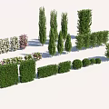 Various Ornamental Trees and Shrubs with Different Shapes for Garden Landscaping