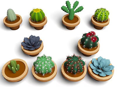 Various Cacti and Succulent Plants in Brown Ceramic Pots with Different Shapes and Colors 3d model