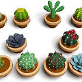 Various Cacti and Succulent Plants in Brown Ceramic Pots with Different Shapes and Colors