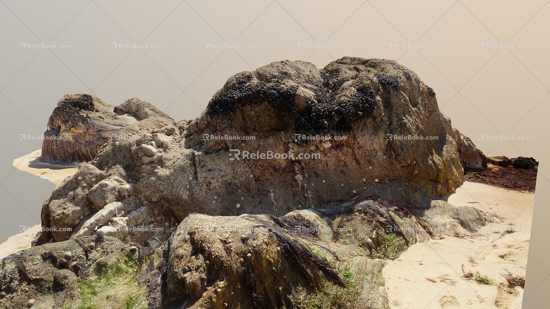 Beach Rock Moss 3d model