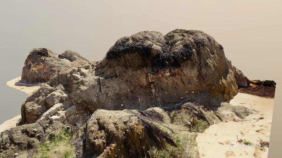 Large Stone Formations With Dark Seaweed And Wooden Accents On Sandy Coastal Terrain 3d model 