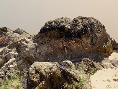Large Stone Formations With Dark Seaweed And Wooden Accents On Sandy Coastal Terrain 3d model